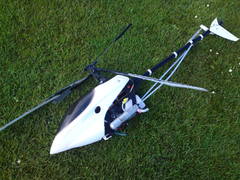 Thunder Tiger Raptor 30